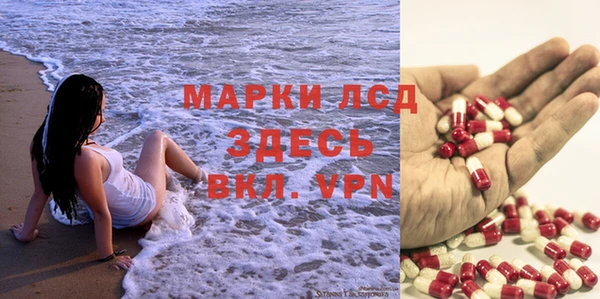 индика Алзамай
