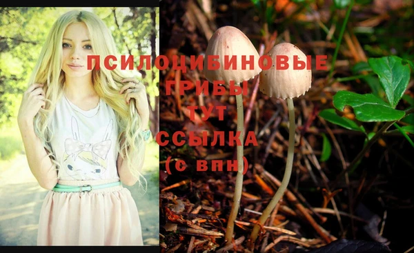 индика Алзамай